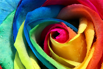 VAT DYES